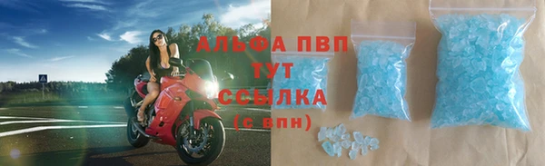 индика Алексин