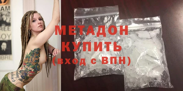 индика Алексин